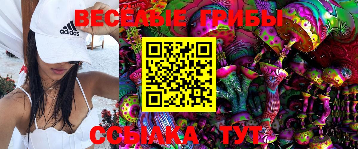 Галлюциногенные грибы прущие грибы Сертолово