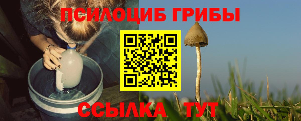 Сертолово  Галлюциногенные грибы Magic Shrooms  Вход с VPN 
